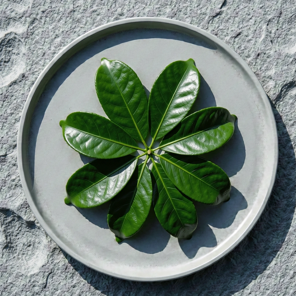 Herbal di atas piring